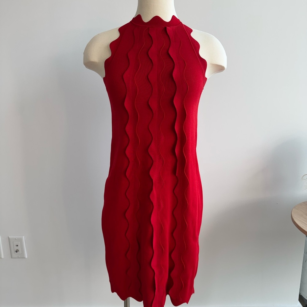 Elegant Red Sleeveless Dress - Picture 1 of 6